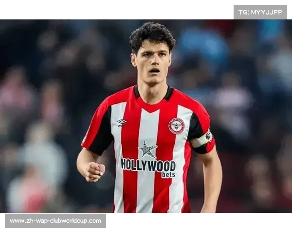 英超户口本揭秘球员身份证明与籍贯背后的故事